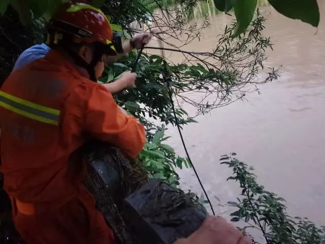 DƬ